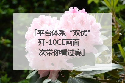 平台体系“双优” 歼-10CE画面一次带你看过瘾